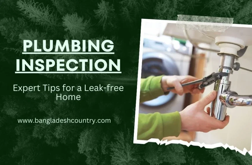 Plumbing inspection banner with text 'Expert Tips for a Leak-free Home' and 'www.bangladeshcountry.com'. Features a close-up photo of hands using a wrench to tighten pipes under a sink.