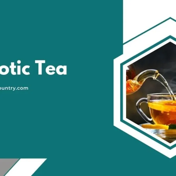 Teal banner with the text 'Probiotic Tea' and the URL 'www.bangladeshcountry.com' on the left. On the right, a hexagonal frame contains a photo of hot tea being poured from a glass teapot into a cup with lemon and mint.