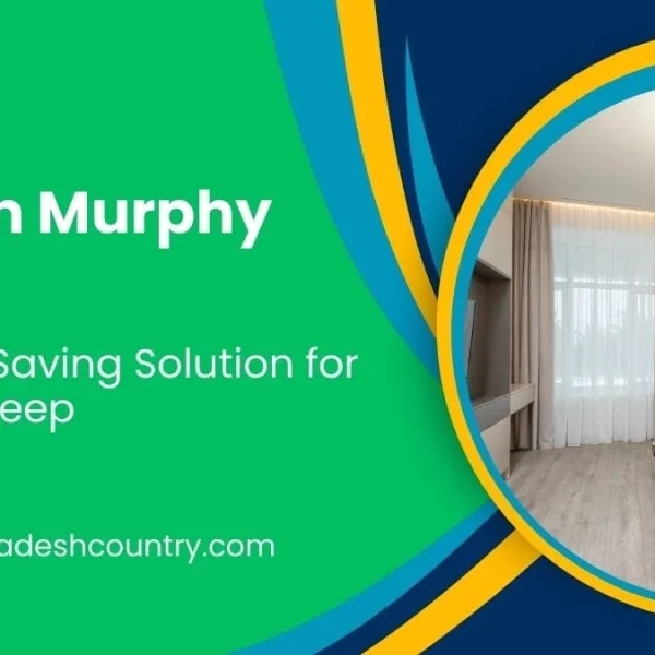 Best Queen Murphy Bed: 3 Smart Space Solutions