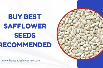 Graphic advertising "BUY BEST SAFFLOWER SEEDS RECOMMENDED" with a close-up image of white safflower seeds in a red circle and the website www.bangladeshcountry.com.