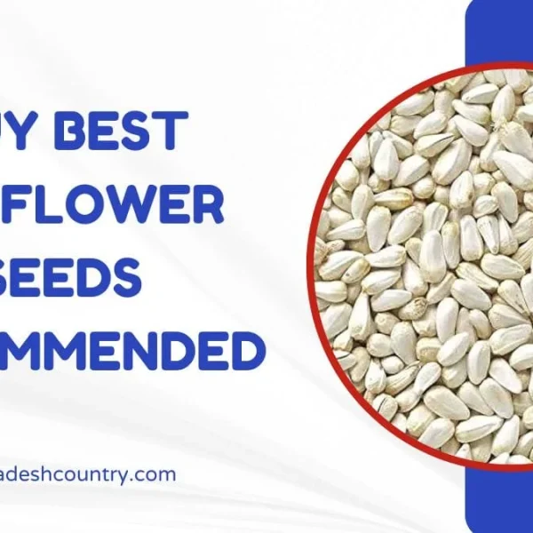 Graphic advertising "BUY BEST SAFFLOWER SEEDS RECOMMENDED" with a close-up image of white safflower seeds in a red circle and the website www.bangladeshcountry.com.
