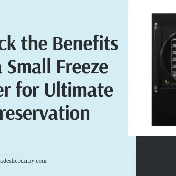 Small Freeze Dryer: Top 10 Reasons You Must Know!