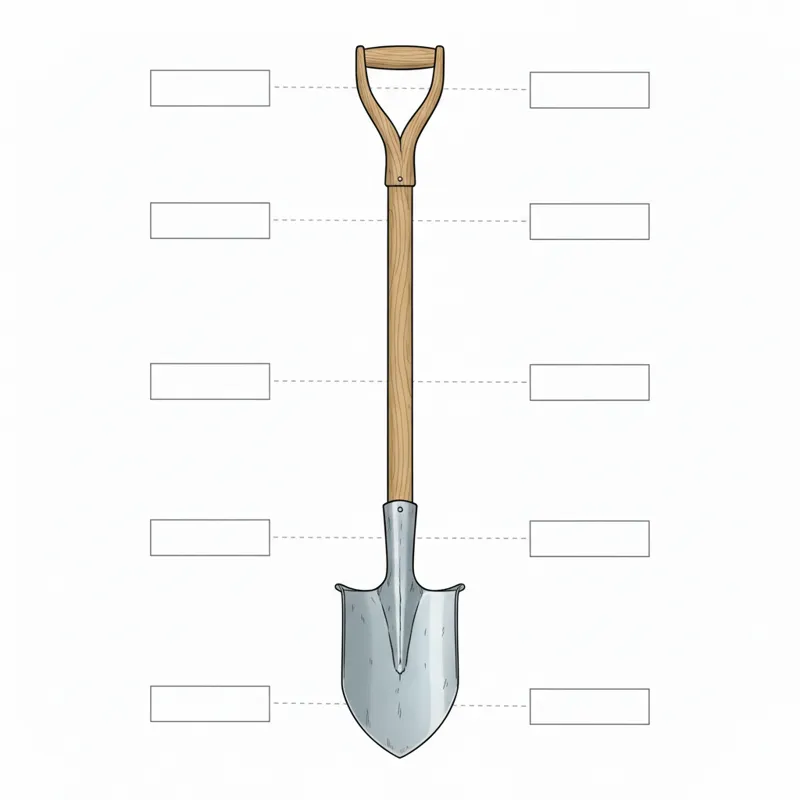 A detailed infographic illustrating the different parts of a spade shovel, including the blade, collar, shaft, and handle, with text callouts explaini