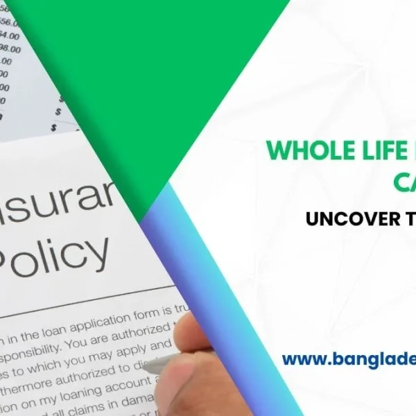 Best Whole Life Insurance Calculator: Get 5x Value